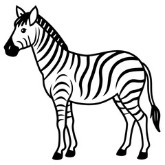 Zebra Line Art Vector