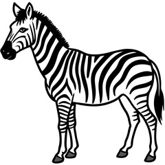 Zebra Line Art Vector