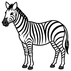 Zebra Line Art Vector
