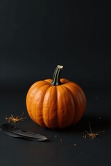 Autumnal Still Life A Single Pumpkin with Dark Feather and Gold Accents on a Black Background