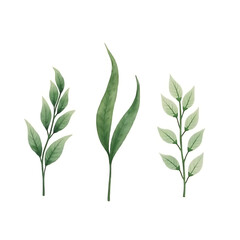 Naklejka premium Minimal Watercolor Green Leaf Collection PNG for Wedding Invites