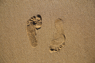 two barefoot prints in different directions on a sandy beach on a sunny day. Humor on vacation, right and left footprints