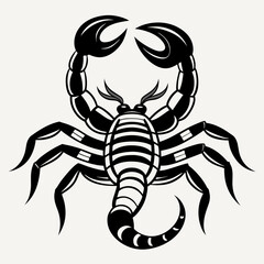 scorpion isolated on white background