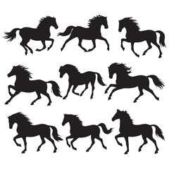 Running horse silhouettes on white background