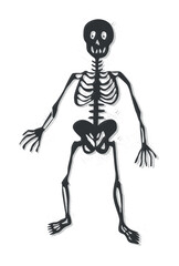 Skeleton vector. Illustration of a funny human skeleton isolated 