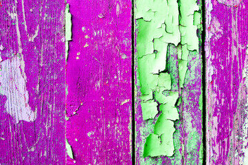 Peeling paint texture background - old painted wooden surface covered with peeling paint of bright purple and green color