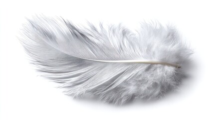 Soft, light feather