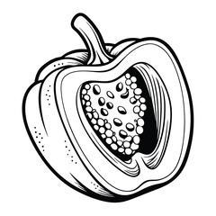 bell pepper showing the inside with seeds vector illustration