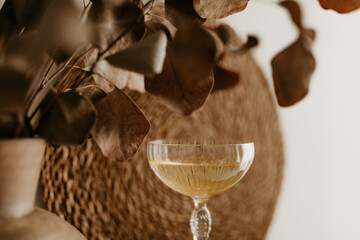 Close-Up of Champagne Glass and Eucalyptus in a Cozy Neutral Setting
