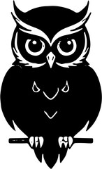 owl on white background