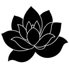 lotus flower vector