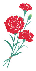 Carnation