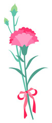 Carnation 