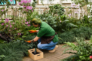 Young woman tending to vibrant plants in a lush greenhouse environment during daylight