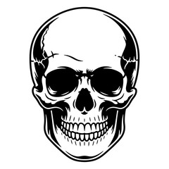 Obraz premium Skeleton Silhouettes Set - Large Collection of Vector Designs on White Background