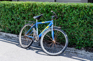 Fototapeta premium Rusty Bicycle Leaning Against a Green Hedge
