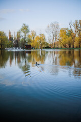 A beautiful spring atmosphere, a beautiful lake in the middle of nature.