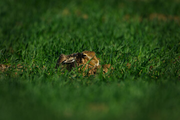 Can you see me