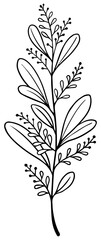 leaf Illustration