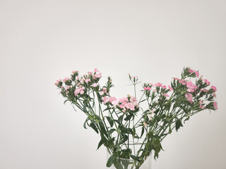 Delicate pink flowers heart in minimalist arrangement copy space Mothers day