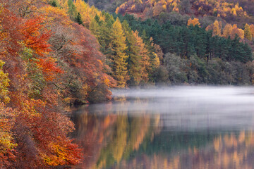 Early morning mist drifts across Loch Faskally, reflecting golden autumn trees and dense evergreens in a tranquil Highland setting near Pitlochry, Scotland.