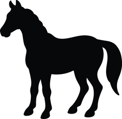 silhouette of a horse
