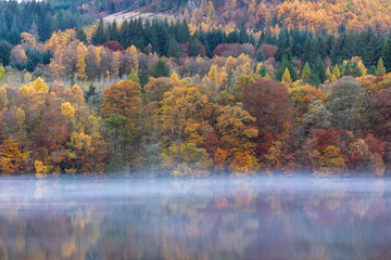 Misty lake reflecting a tapestry of vibrant autumn trees in red, gold, and green, creating a serene and dreamlike seasonal forest scene