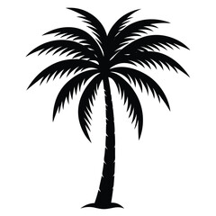 Cocos Nucifera Beach Vibes Illustration  