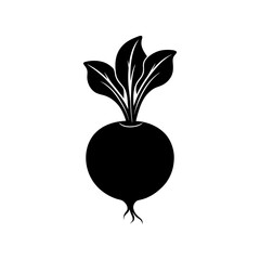 Radish Silhouette vector illustration