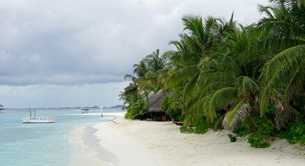 exotic tropical island on the maldives