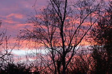 Beautiful summer evening in countryside 