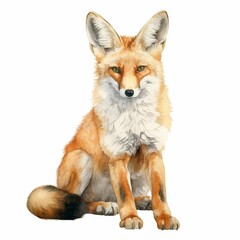 Fototapeta premium a watercolor illustration of Foxgloveclip art, isolated on white background Flower Floral Water Color White Background