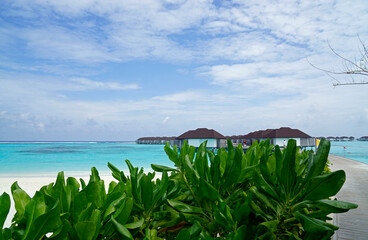 exotic tropical island on the maldives