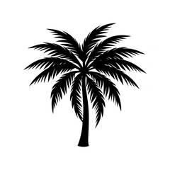 Palm Tree Silhouette vector illustration