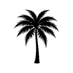 Obraz premium Palm Tree Silhouette vector illustration