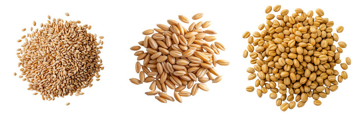 Varieties of Seeds Stacked isolated on a transparent background.
