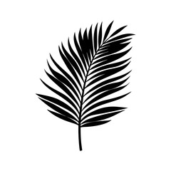 Obraz premium Palm Leaf Silhouette vector illustration