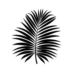 Palm Leaf Silhouette vector illustration