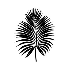 Obraz premium Palm Leaf Silhouette vector illustration