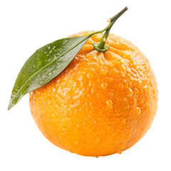 Fresh mandarin orange with leaf and water drops