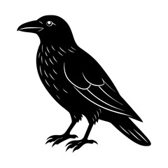 Obraz premium Raven illustration standing bird vector graphic art silhouette