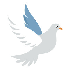 White pigeon flying with white background
