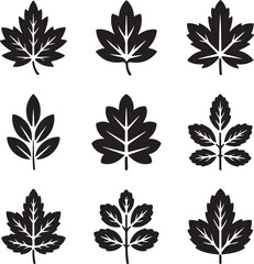 Set of various leaf silhouettes vector