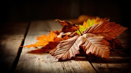 Autumn leaves in warm tones rest on weathered wood, evoking a cozy, seasonal atmosphere. A beautiful fall still life