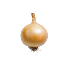 Single Yellow Onion Isolated Black Background,