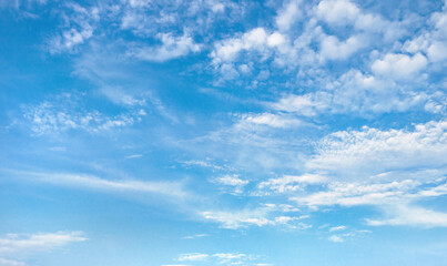 Fototapeta premium sky is blue and clear with no clouds