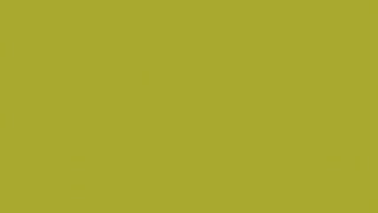 Solid mustard yellow background