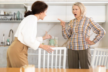 Relatives quarrel in the kitchen - an adult daughter quarrels with an elderly mother