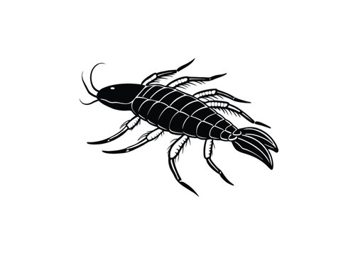 Silhouette of eurypterid isolated on a white background