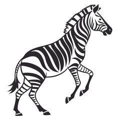 zebra vector illustration